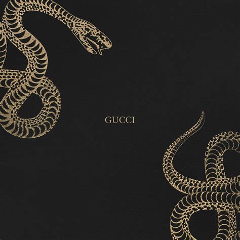 gucci ghost wallpaper iphone|iPhone wallpaper 4k Gucci.